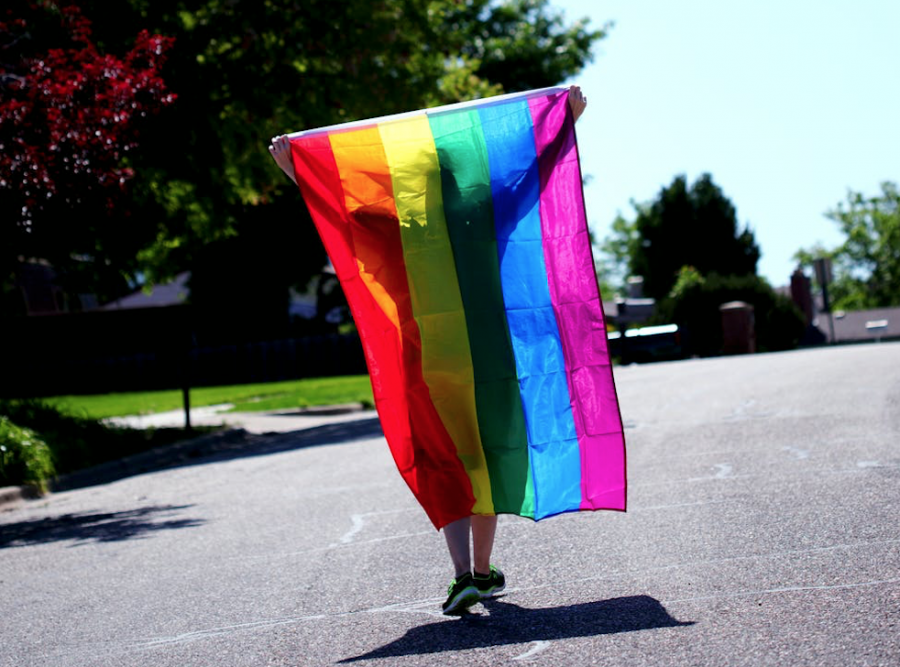 LGBTQIA+ Inclusivity Across CCHS