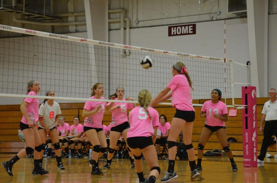 The Side-Out Foundation started Dig Pink as a way to raise awareness about breast cancer.