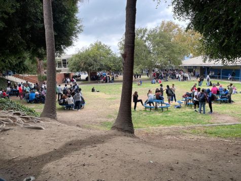 A scene outdoors at Culver City High School prior to the districts three-day closure amid Omicron surge.