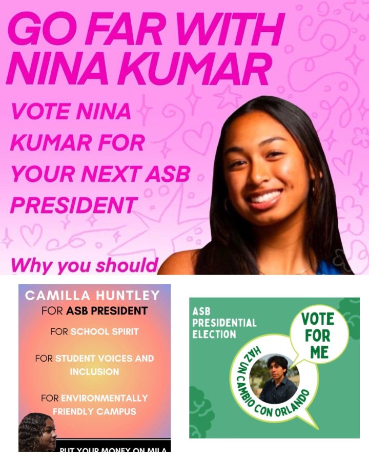 ASB+Elections%3A+2023-2024