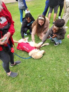 Therapy Dogs Bring Comfort to Campus During Finals